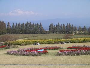 IMG_1106.JPG