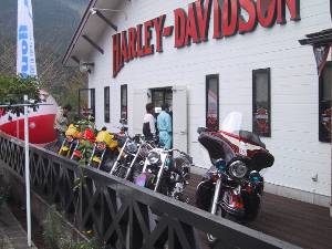 IMG_1109.JPG - 16,665BYTES