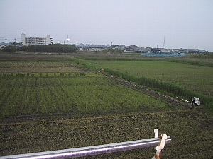 IMG_1533.JPG - 68,503BYTES